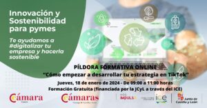 Píldora Formativa Online “Cómo empezar a desarrollar tu estrategia en TikTok”