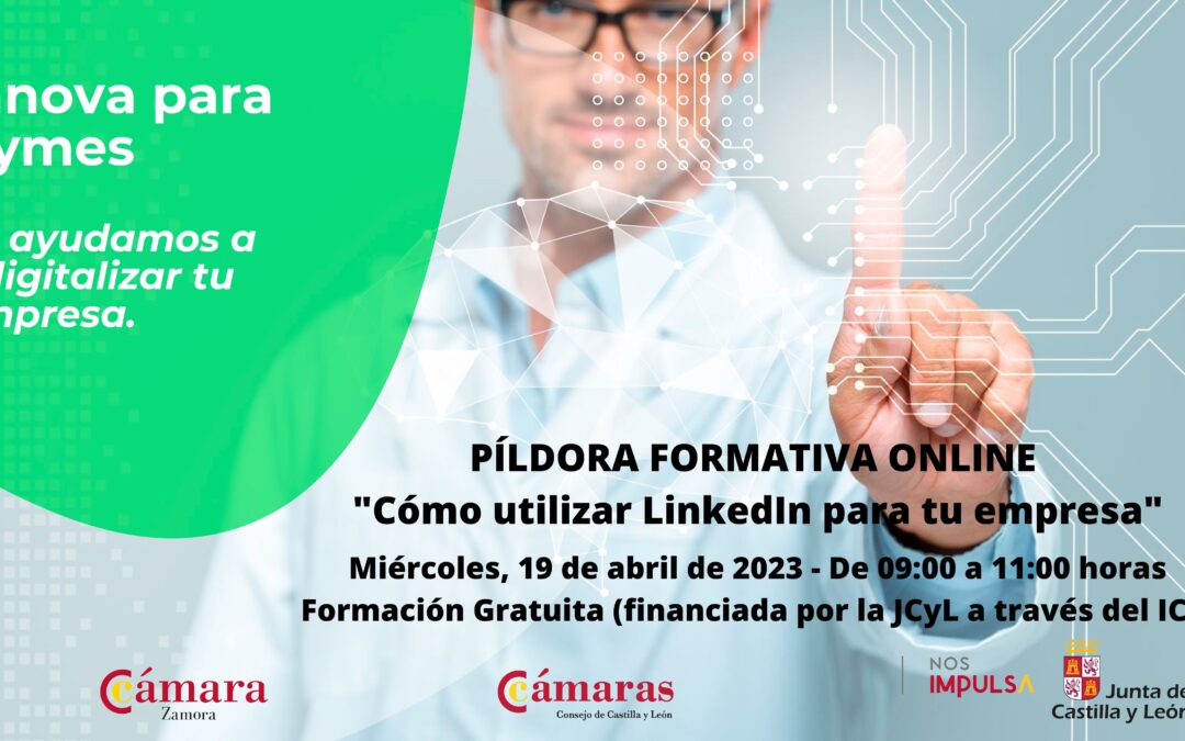 Píldora Formativa Online «Cómo utilizar LinkedIn para tu empresa»