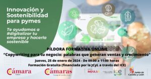 Píldora Formativa Online “Copywriting para tu negocio: palabras que generan ventas y crecimiento”
