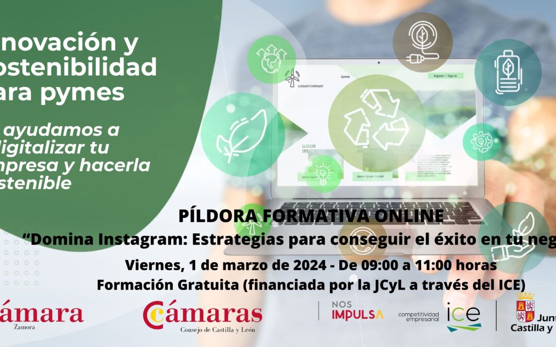 Píldora Formativa Online «Domina Instagram: Estrategias para conseguir el éxito en tu negocio»