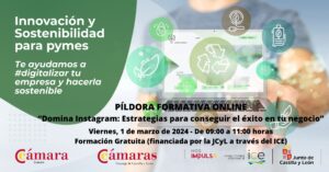 Píldora Formativa Online «Domina Instagram: Estrategias para conseguir el éxito en tu negocio»