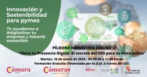 Píldora Formativa Online “Eleva tu Presencia Digital. El secreto del SEO para tu éxito online”