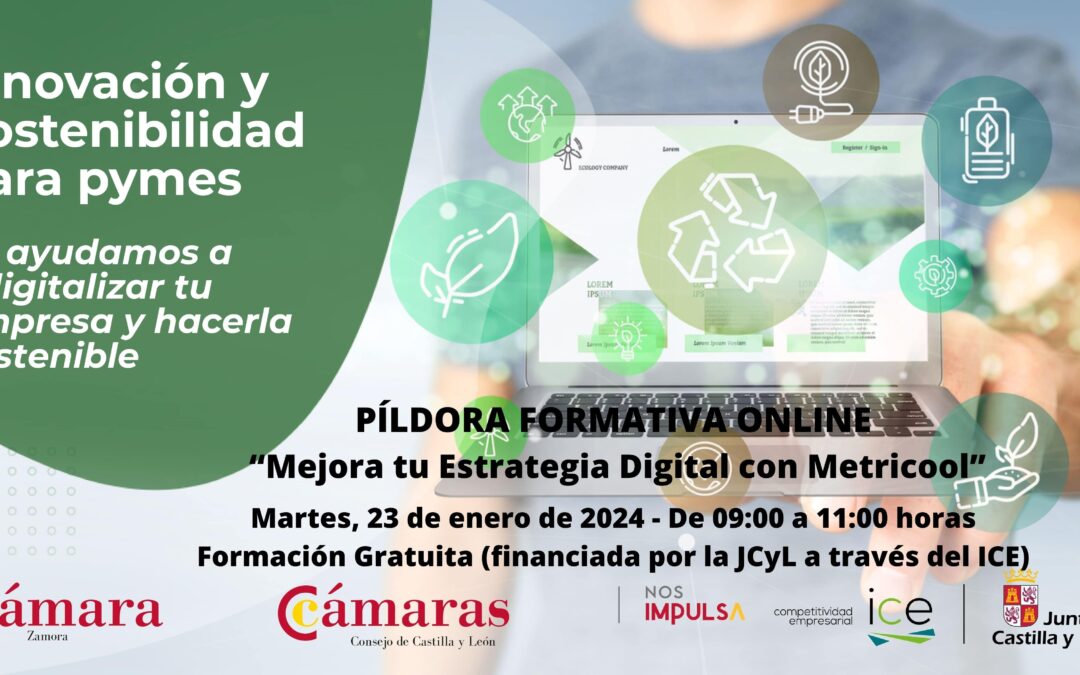 Píldora Formativa Online “Mejora tu Estrategia Digital con Metricool”