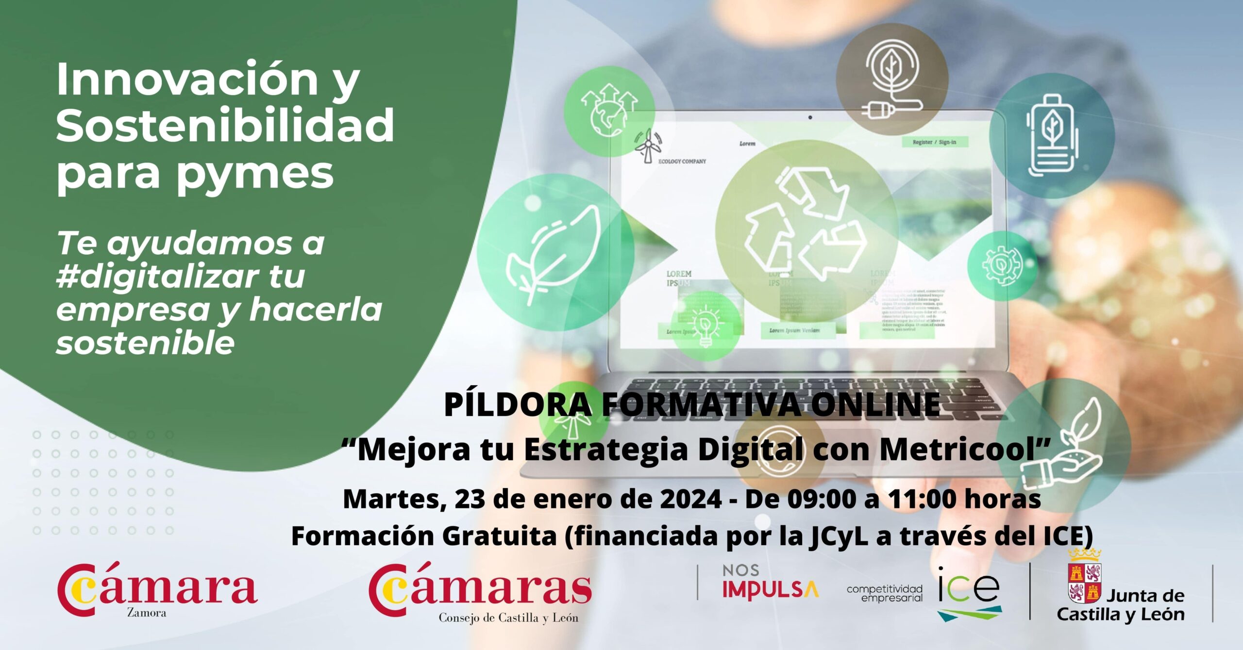 Píldora Formativa Online Mejora tu Estrategia Digital con Metricool