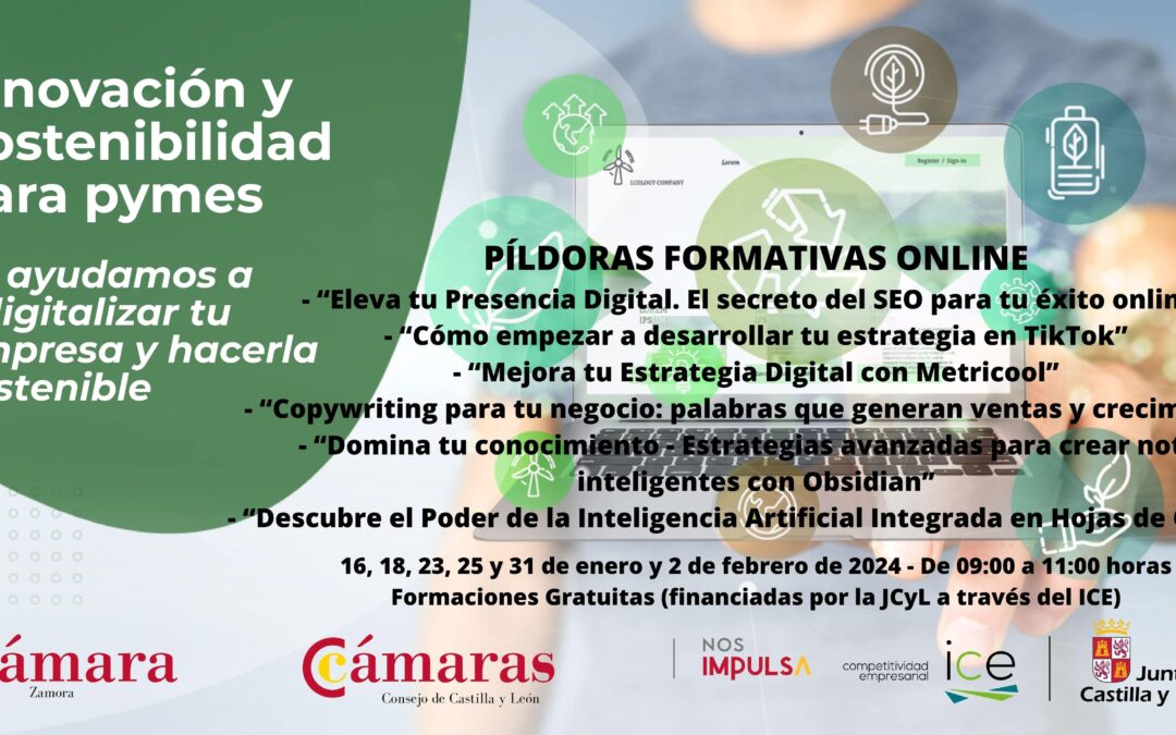 La Cámara de Comercio de Zamora y la Junta de Castilla y León inician 11 píldoras formativas los próximos meses para incrementar la rentabilidad de las pymes mediante la digitalización y la sostenibilidad