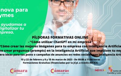 La Cámara de Comercio de Zamora y la Junta de Castilla y León desarrollan 9 píldoras formativas adaptadas a las necesidades digitales de las empresas zamoranas