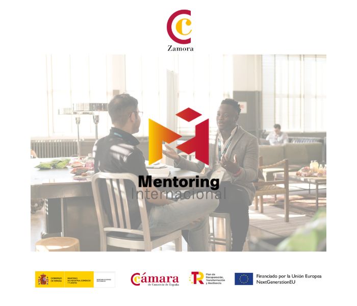 Programa Mentoring y Apoyo a la Internacionalización 2023