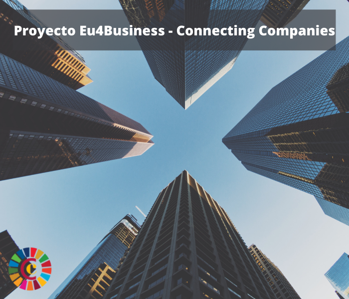 Proyecto Eu4Business – Connecting Companies