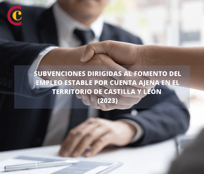 Subvenciones dirigidas al fomento del empleo estable por cuenta ajena en el territorio de Castilla y León