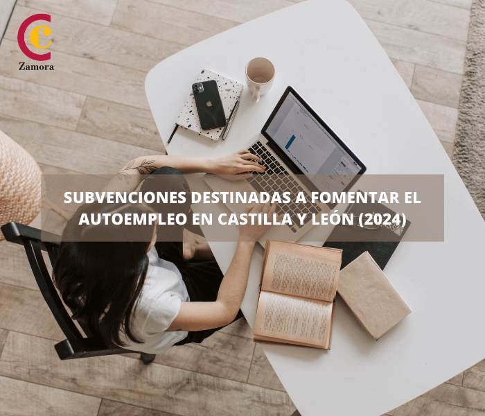 Subvenciones destinadas a fomentar el Autoempleo en Castilla y León