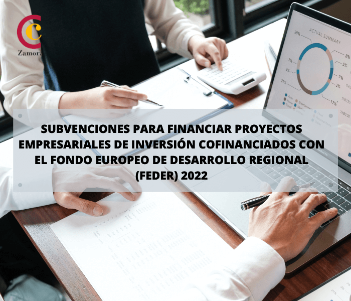 Subvenciones destinadas a financiar proyectos empresariales de inversión cofinanciados por el Fondo Europeo de Desarrollo Regional(FEDER) 2022