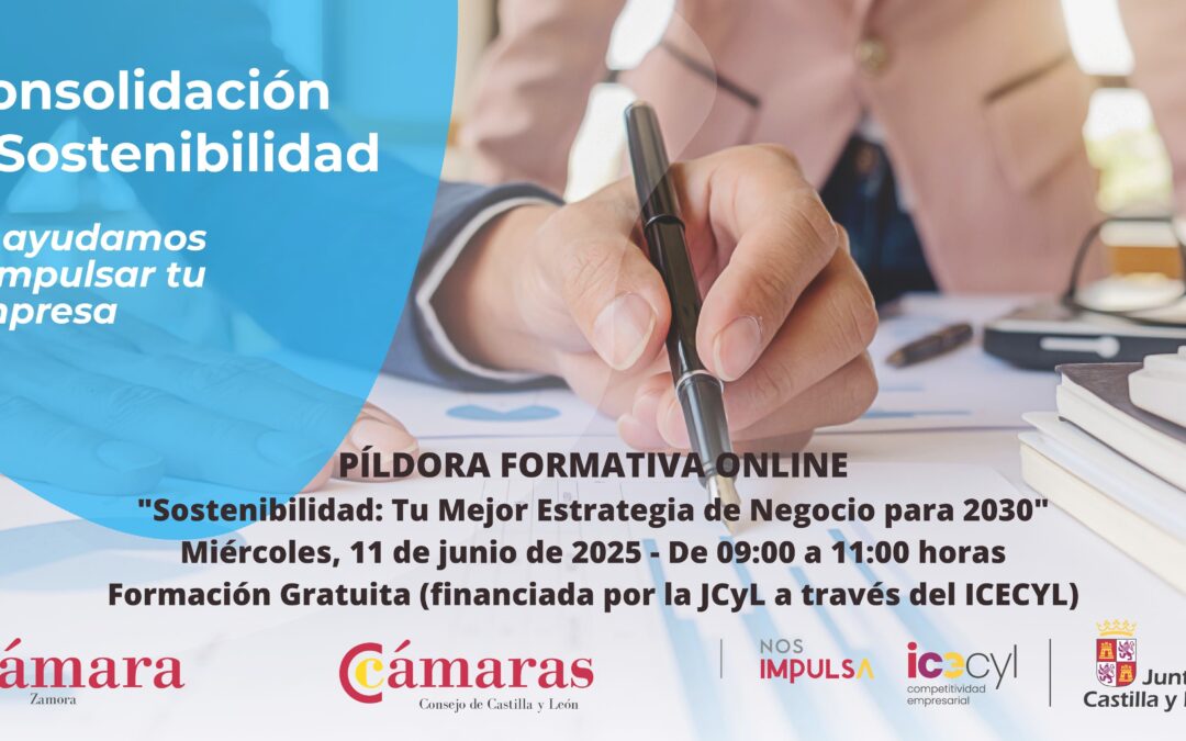 Píldora Formativa Online «Sostenibilidad: Tu Mejor Estrategia de Negocio para 2030»