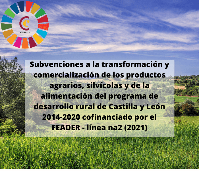 Subvenciones para inversiones en transformación/comercialización y/o desarrollo de productos agrícolas del Programa de Desarrollo Rural de Castilla y León