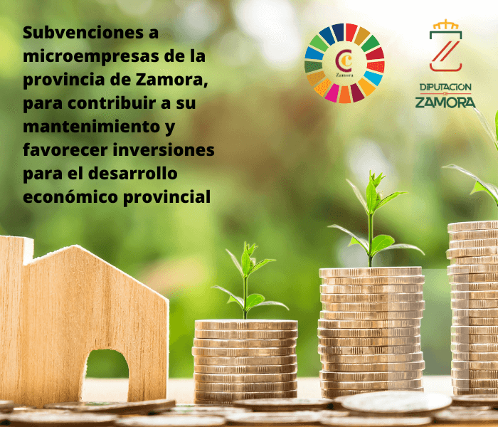 Subvenciones a microempresas de la provincia de Zamora, al objeto de contribuir tanto a su mantenimiento como a favorecer inversiones en sectores que representen oportunidades para el desarrollo económico provincial