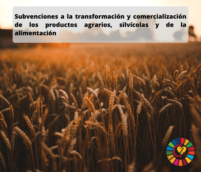 Subvenciones a la transformación y comercialización de los productos agrarios, silvícolas y de la alimentación del Programa de Desarrollo Rural de Castilla y León 2014-2020 cofinanciado por el FEADER – Línea NC1 (2021)