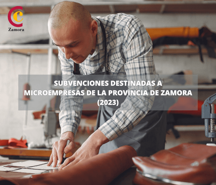 Subvenciones destinadas a Microempresas de la provincia de Zamora para 2023