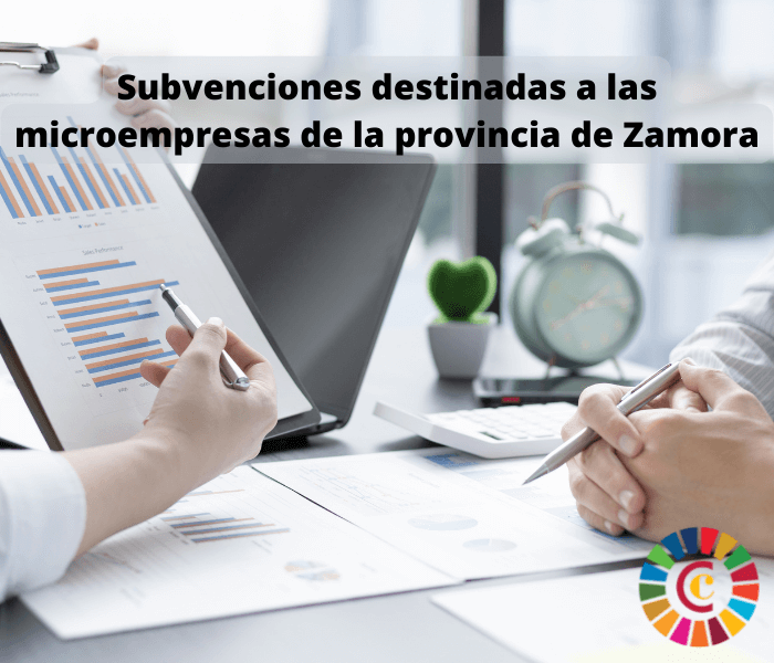 Subvenciones destinadas a las microempresas de la provincia de Zamora