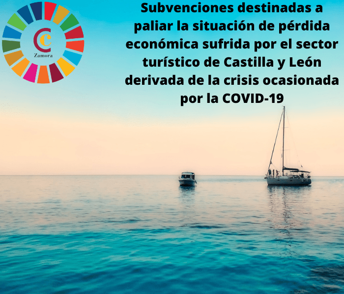 Subvenciones destinadas a paliar la situación de pérdida económica sufrida por el sector turístico de Castilla y León derivada de la crisis ocasionada por la COVID-19