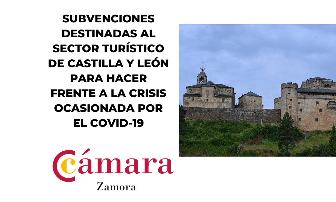 Subvenciones destinadas al Sector Turístico para hacer frente a la crisis ocasionada por el Covid-19