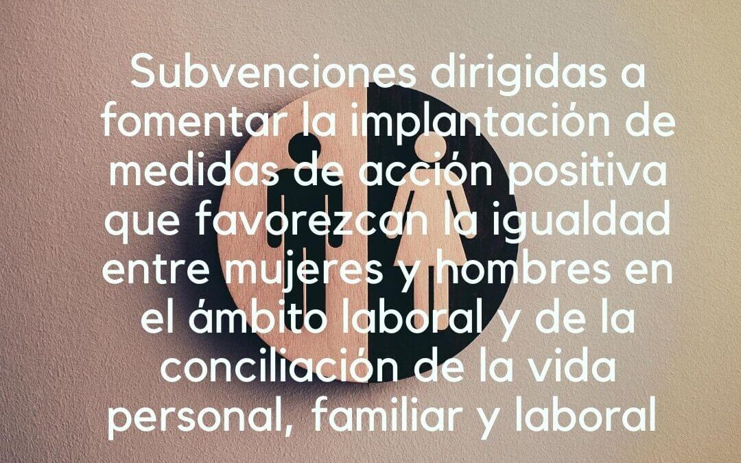 Subvenciones dirigidas a fomentar la implantación de medidas de acción positiva que favorezcan la igualdad entre mujeres y hombres en el ámbito laboral y de la conciliación de la vida personal, familiar y laboral en Castilla y León