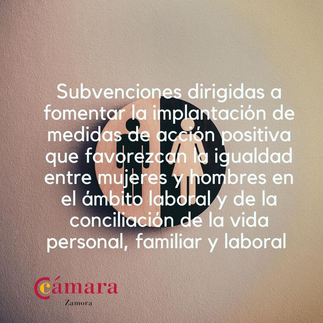 Subvenciones dirigidas a fomentar la implantación de medidas de acción positiva que favorezcan la igualdad y conciliación entre mujeres y hombres en el ámbito laboral
