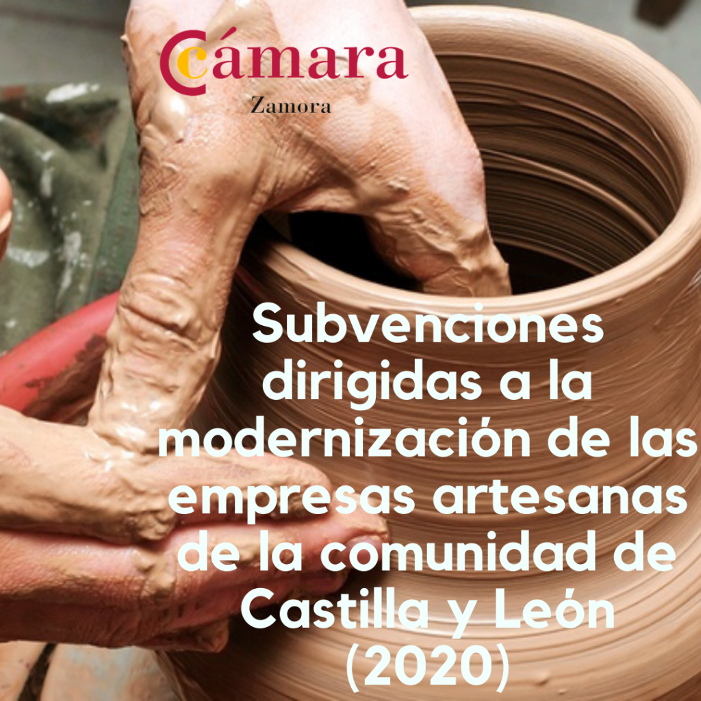 Subvenciones dirigidas a la modernización de las empresas artesanas de la comunidad de Castilla y León (2020)