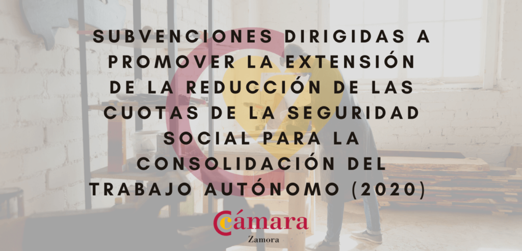 Subvenciones dirigidas a promover la extensión de la reducción de las cuotas de la Seguridad Social para consolidación del trabajo autónomo (2020)