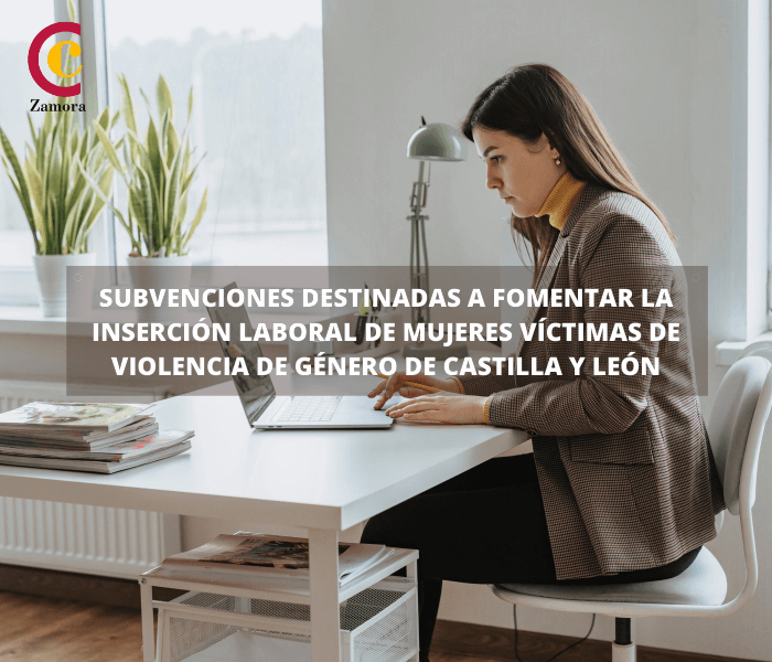Subvenciones destinadas a fomentar la inserción laboral de mujeres víctimas de violencia de género de Castilla y León