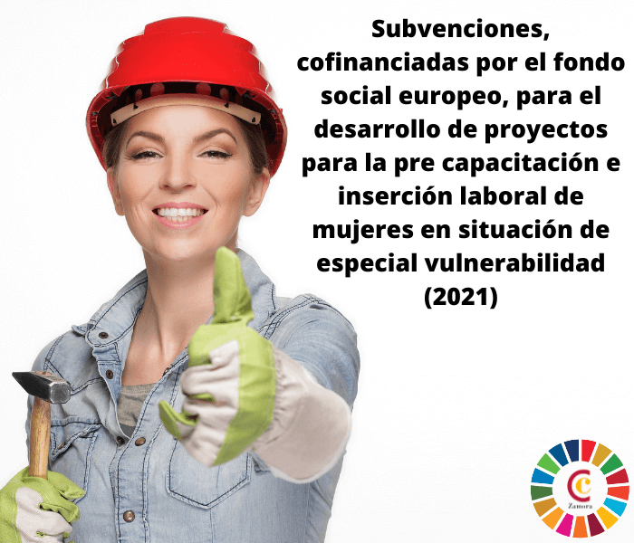 Subvenciones, cofinanciadas por el fondo social europeo, para el desarrollo de proyectos para la pre capacitación e inserción laboral de mujeres en situación de especial vulnerabilidad (2021)