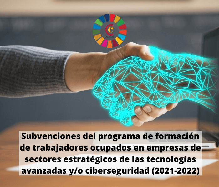 Subvenciones del programa de formación de trabajadores ocupados en empresas de sectores estratégicos de las tecnologías avanzadas y/o ciberseguridad (2021-2022)