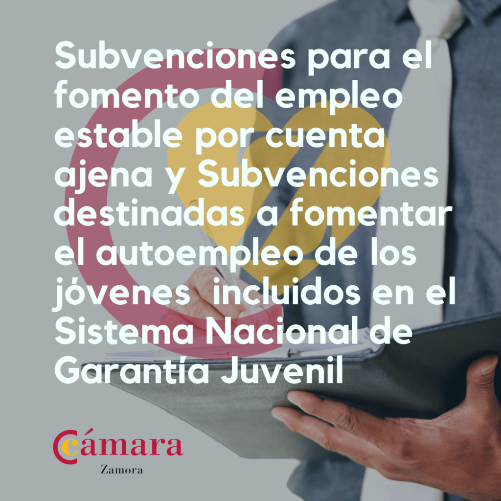 Subvenciones para el fomento del empleo estable por cuenta ajena y Subvenciones destinadas a fomentar el autoempleo de los jóvenes incluidos en el Sistema Nacional de Garantía Juvenil