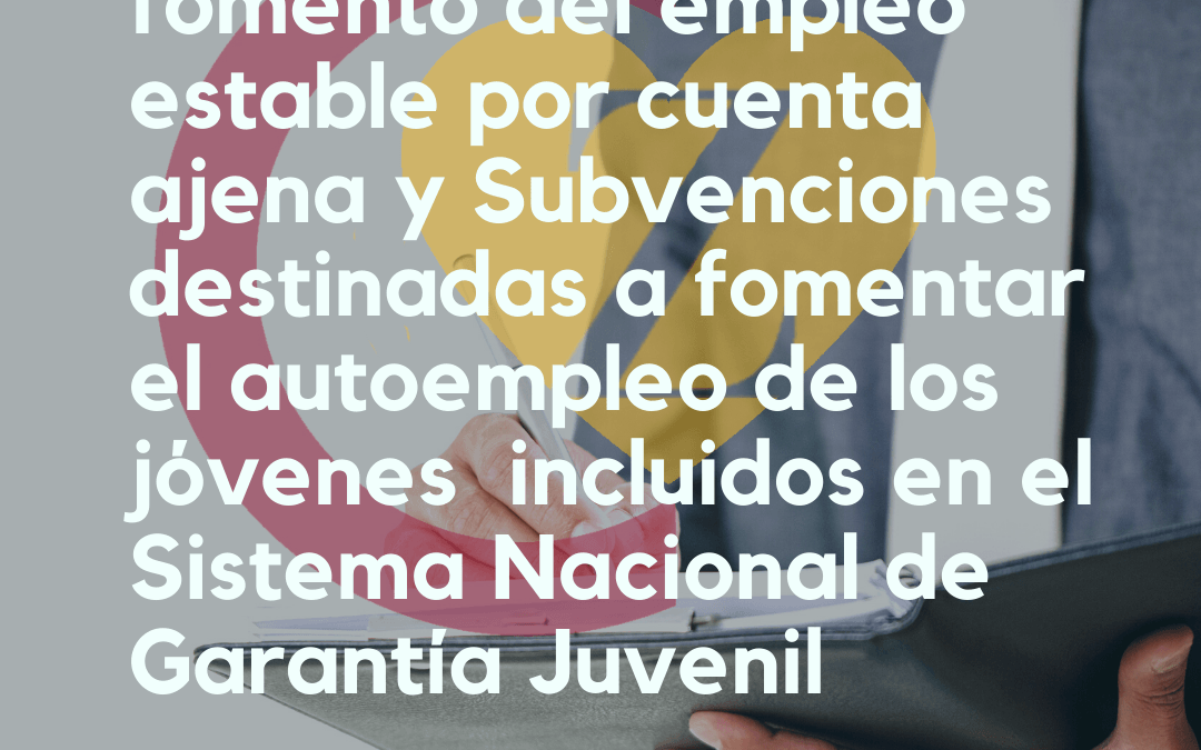 Subvenciones para el fomento del empleo estable por cuenta ajena y Subvenciones destinadas a fomentar el autoempleo de los jóvenes incluidos en el Sistema Nacional de Garantía Juvenil