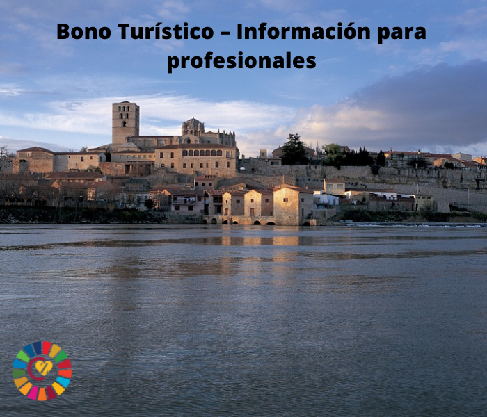 Bono Turístico – Información para profesionales