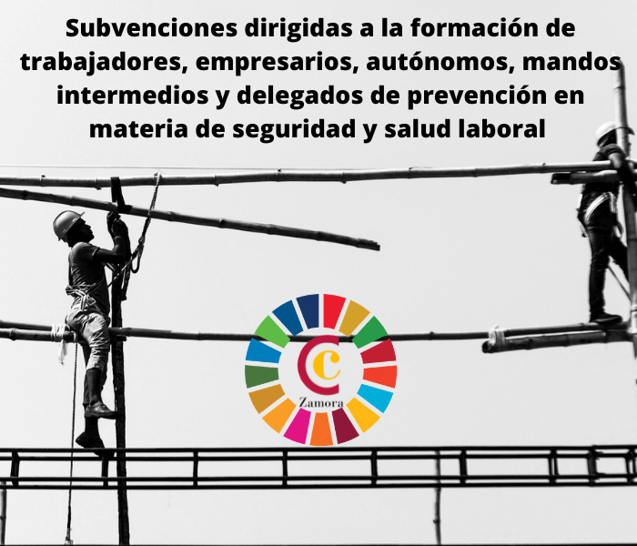 Subvenciones dirigidas a la formación de trabajadores, empresarios, autónomos, mandos intermedios y delegados de prevención en materia de seguridad y salud laboral – programa vi (2021)