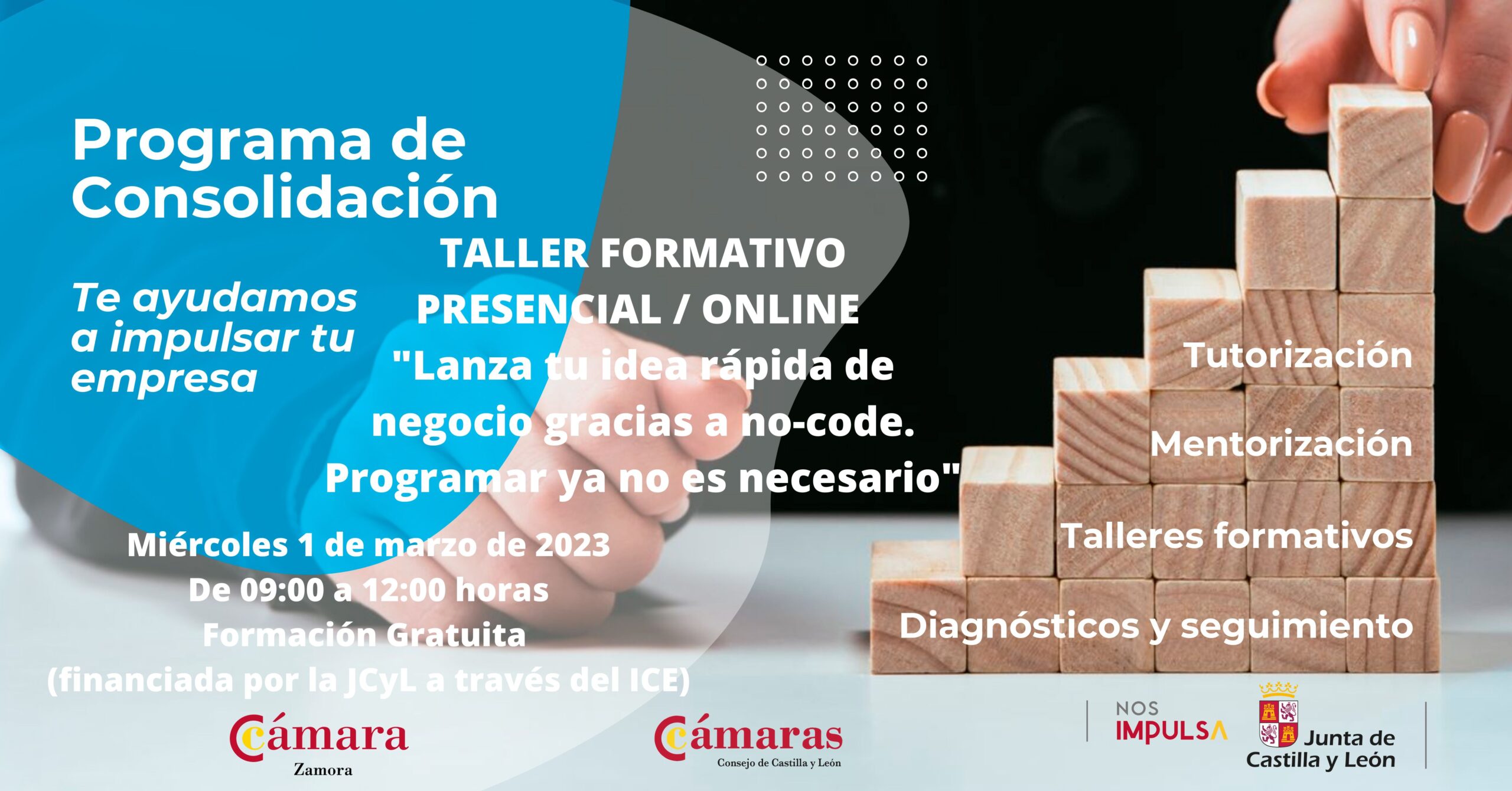 Taller Formativo Presencial - Online Lanza tu idea rápida de negocio gracias a no-code. Programar ya no es necesario