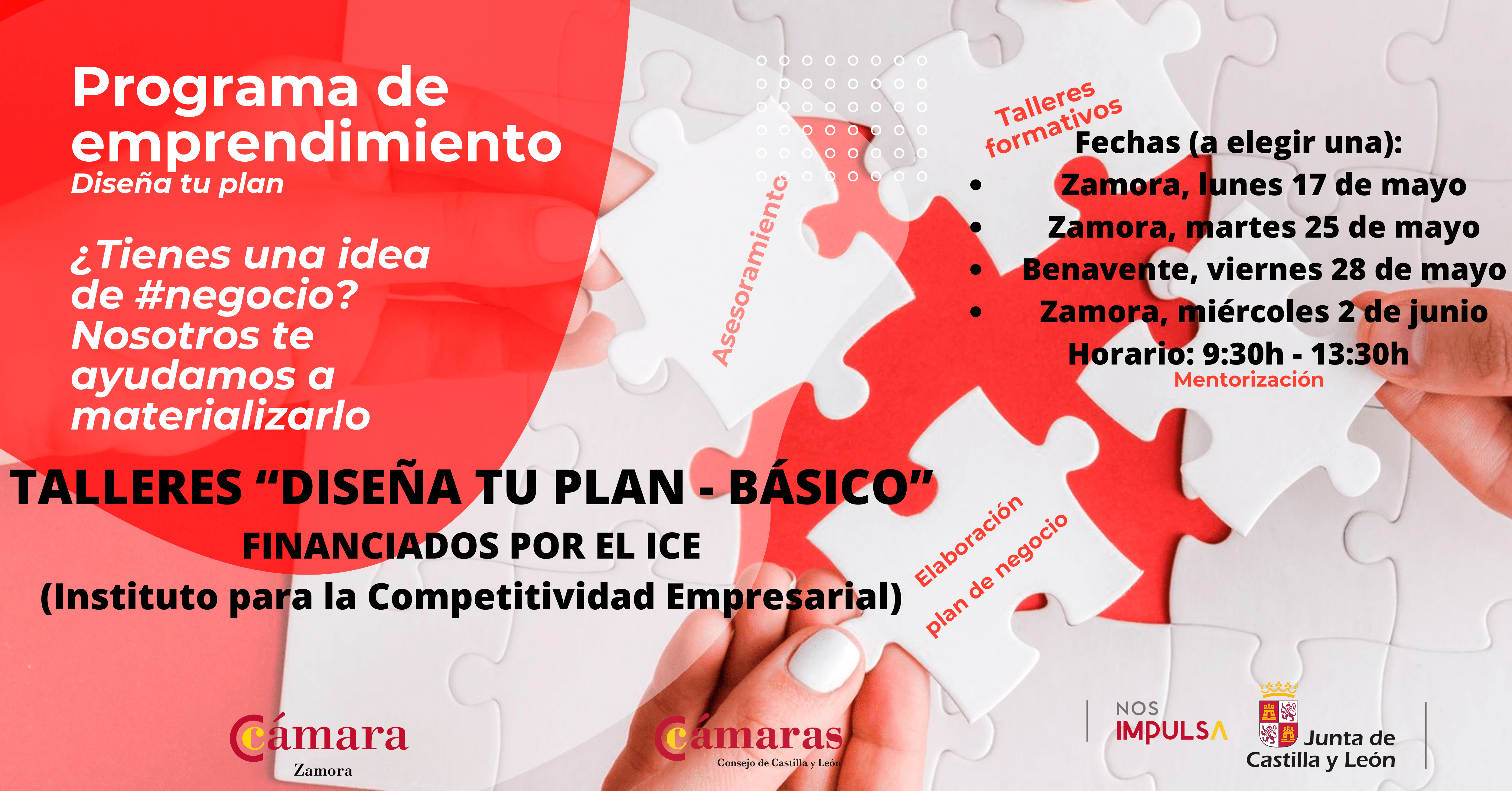 Talleres Diseña tu Plan Básico