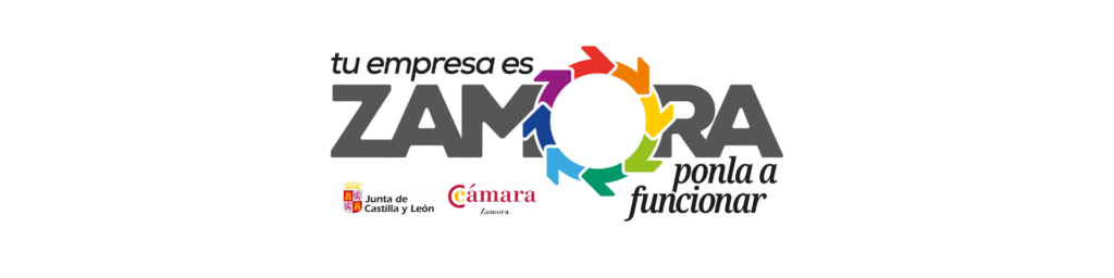 Campaña promocional «Tu empresa es Zamora, ponla a funcionar»