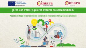 Jornada Online «Presentación del Mapa de conocimiento sectorial de relevancia ASG y buenas prácticas para pymes»