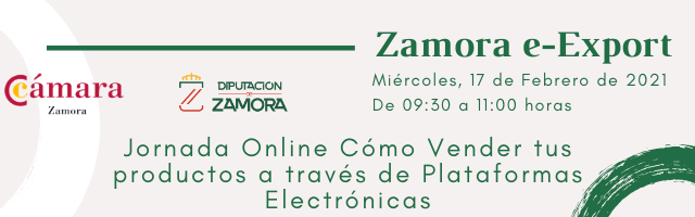 Vender tus productos a través de Plataformas Electrónicas con el proyecto Zamora e-Export