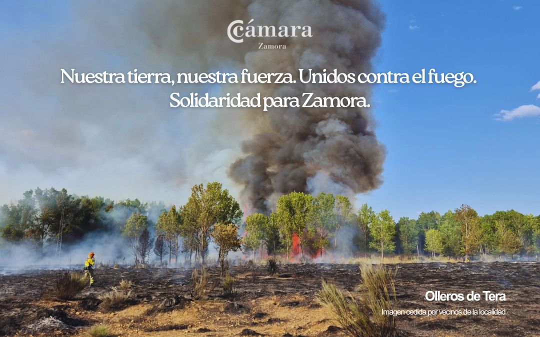 La Cámara de Comercio de Zamora se une en solidaridad con todos los afectados por los incendios que están arrasando la provincia y regiones cercanas, reconociendo el esfuerzo de quienes luchan para proteger vidas, pueblos y parajes naturales de valor incalculable.