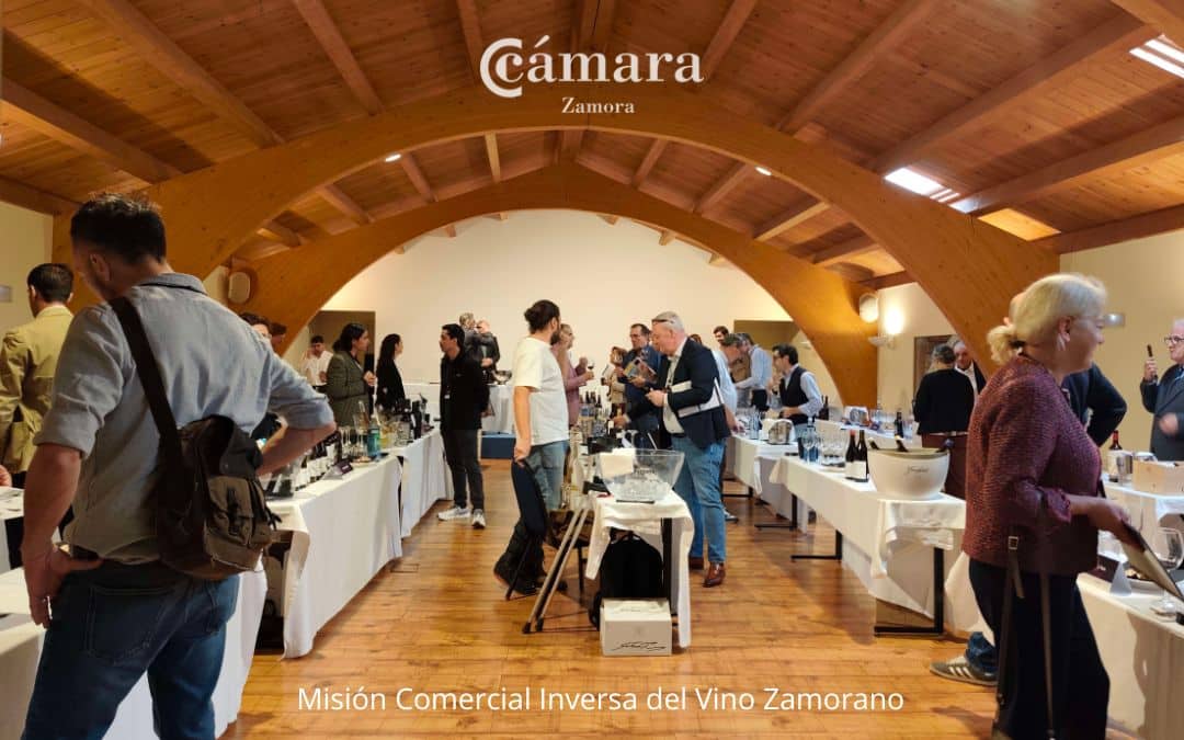 La Cámara de Comercio de Zamora, en colaboración con la Diputación Provincial, impulsa la internacionalización del vino zamorano con una Misión Comercial Inversa que reunirá a 14 importadores de 11 países los días 20 y 21 de octubre. Durante las jornadas, 46 bodegas presentarán sus vinos a compradores internacionales, fortaleciendo la proyección exterior del sector vitivinícola y consolidando a Zamora como territorio de calidad y tradición exportadora.