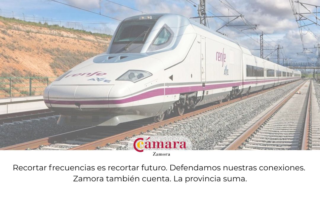 Rechazamos las pretensiones del Alcalde de Vigo en relación a la supresión de paradas del AVE en la provincia