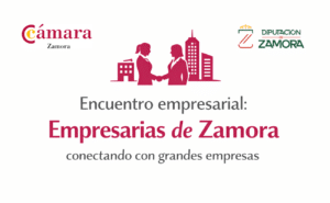 Encuentro empresarial WEConnect: conectando empresarias de Zamora con grandes empresas