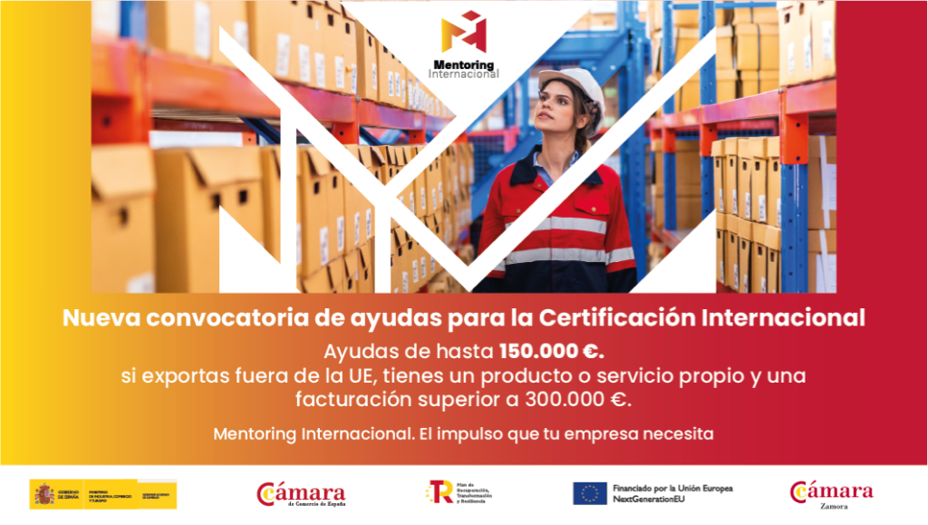 Programa Mentoring y Apoyo a la Internacionalización 2025