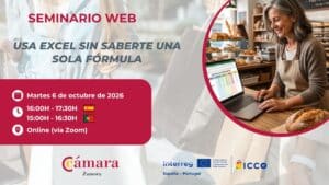 Taller Online Gratuito «Usa Excel sin saberte una sola fórmula»