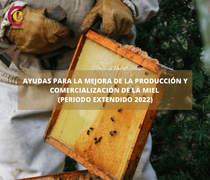 Ayudas para la mejora de la producción y comercialización de la miel (periodo extendido 2022)