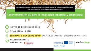Taller Gratuito: Impresión 3D para la innovación industrial y empresarial (Toro)