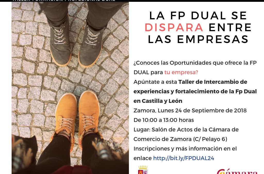 Taller Práctico de FP Dual: Intercambio de experiencias y fortalecimiento de la Fp Dual en Castilla y León