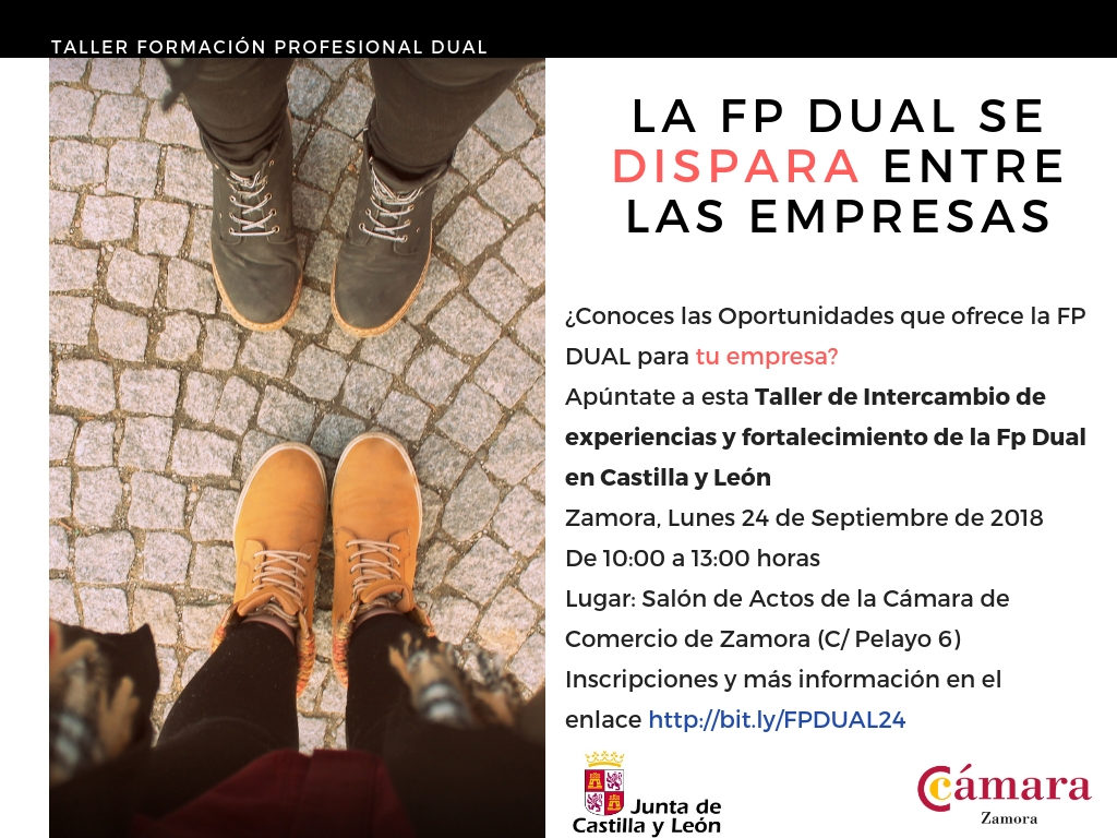 Taller Práctico de FP Dual: Intercambio de experiencias y fortalecimiento de la Fp Dual en Castilla y León